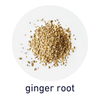 ginger root | kombuchade herbal ingredients