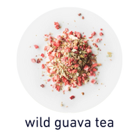 wild guava tea | kombuchade herbal ingredients