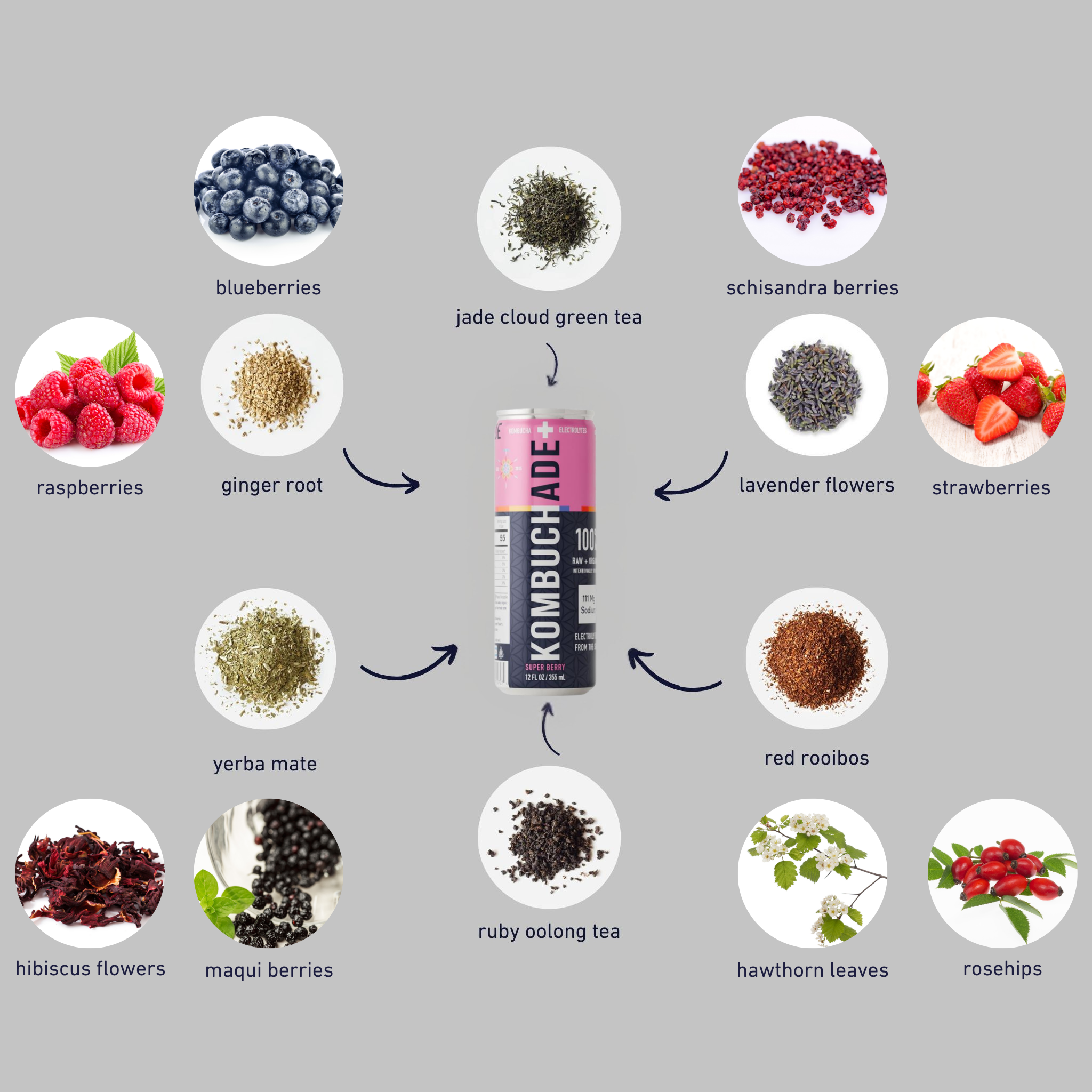 Kombuchade Variety Pack